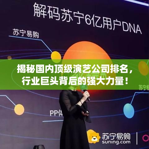 揭秘国内顶级演艺公司排名，行业巨头背后的强大力量！