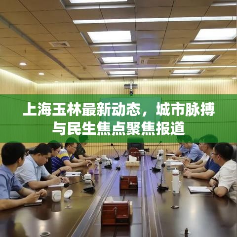 上海玉林最新动态，城市脉搏与民生焦点聚焦报道