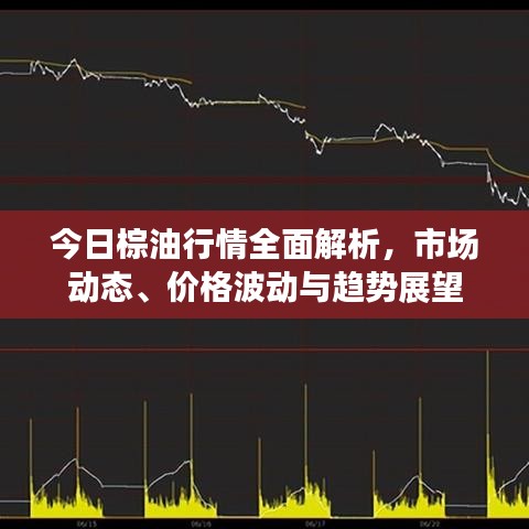 今日棕油行情全面解析，市场动态、价格波动与趋势展望