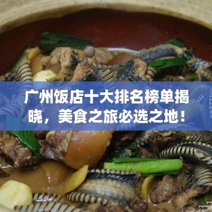 广州饭店十大排名榜单揭晓，美食之旅必选之地！
