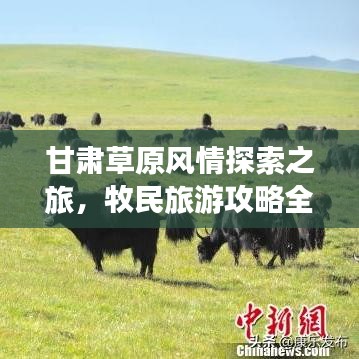 甘肃草原风情探索之旅，牧民旅游攻略全解析