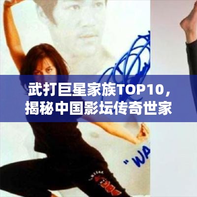 武打巨星家族TOP10，揭秘中国影坛传奇世家榜单