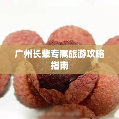 广州长辈专属旅游攻略指南