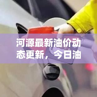 河源最新油价动态更新，今日油价查询及影响因素深度解析