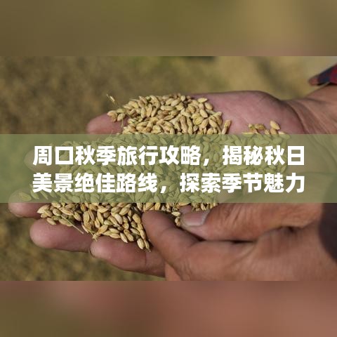 周口秋季旅行攻略，揭秘秋日美景绝佳路线，探索季节魅力不容错过！