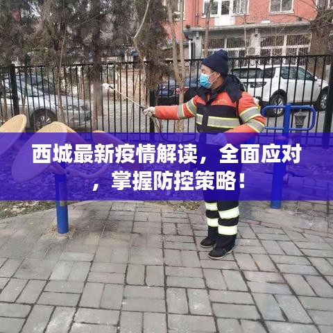 西城最新疫情解读，全面应对，掌握防控策略！