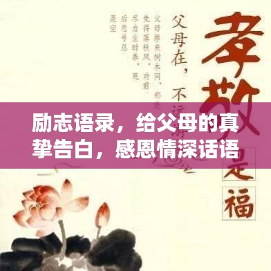 励志语录，给父母的真挚告白，感恩情深话语汇聚