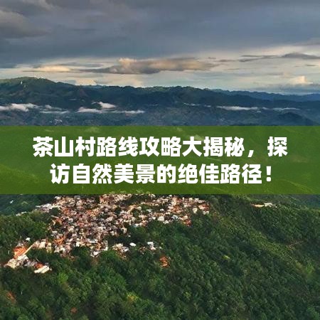 茶山村路线攻略大揭秘，探访自然美景的绝佳路径！