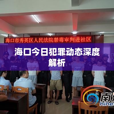 海口今日犯罪动态深度解析