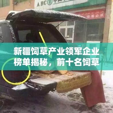 新疆饲草产业领军企业榜单揭秘，前十名饲草企业大放异彩！