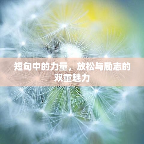 短句中的力量，放松与励志的双重魅力