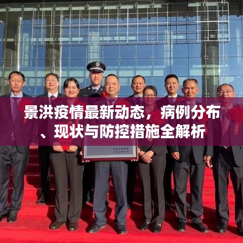 景洪疫情最新动态，病例分布、现状与防控措施全解析