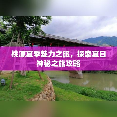 桃源夏季魅力之旅，探索夏日神秘之旅攻略