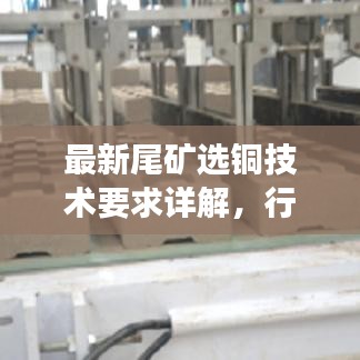 最新尾矿选铜技术要求详解，行业标准解读