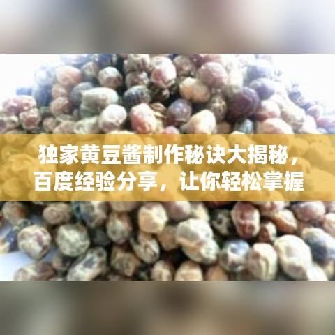 独家黄豆酱制作秘诀大揭秘，百度经验分享，让你轻松掌握美味秘诀！