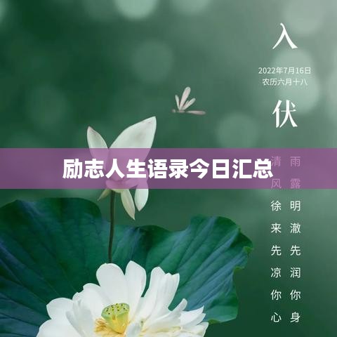 励志人生语录今日汇总