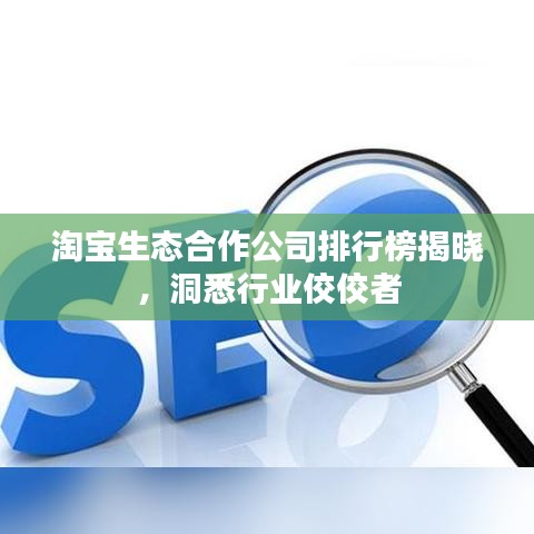 淘宝生态合作公司排行榜揭晓，洞悉行业佼佼者