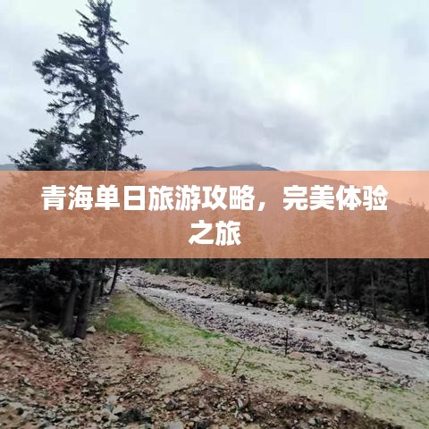 青海单日旅游攻略，完美体验之旅