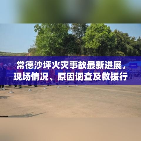常德沙坪火灾事故最新进展，现场情况、原因调查及救援行动全面解析视频报道