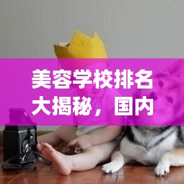 美容学校排名大揭秘，国内前十名，塑造美丽梦想的摇篮！
