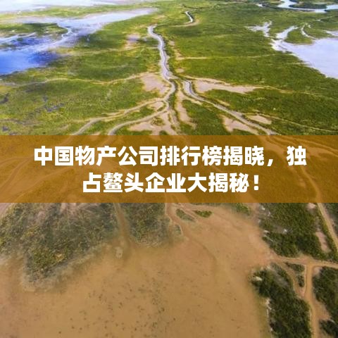 中国物产公司排行榜揭晓，独占鳌头企业大揭秘！