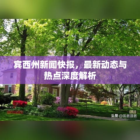 宾西州新闻快报，最新动态与热点深度解析