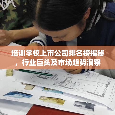 培训学校上市公司排名榜揭秘，行业巨头及市场趋势洞察