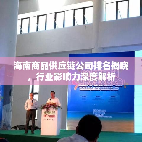 海南商品供应链公司排名揭晓，行业影响力深度解析
