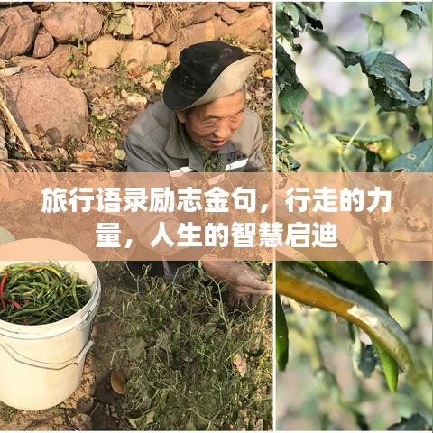 旅行语录励志金句，行走的力量，人生的智慧启迪