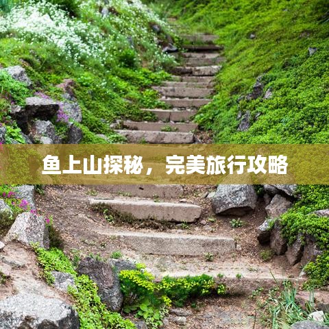 鱼上山探秘，完美旅行攻略