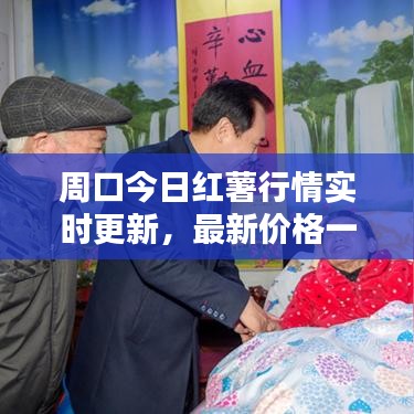 周口今日红薯行情实时更新，最新价格一览