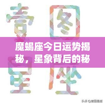 魔蝎座今日运势揭秘，星象背后的秘密探索