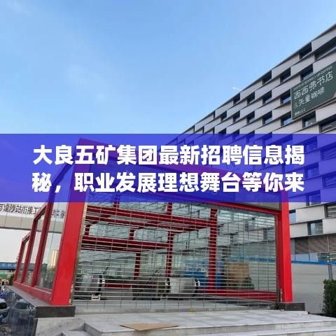 大良五矿集团最新招聘信息揭秘，职业发展理想舞台等你来探寻！