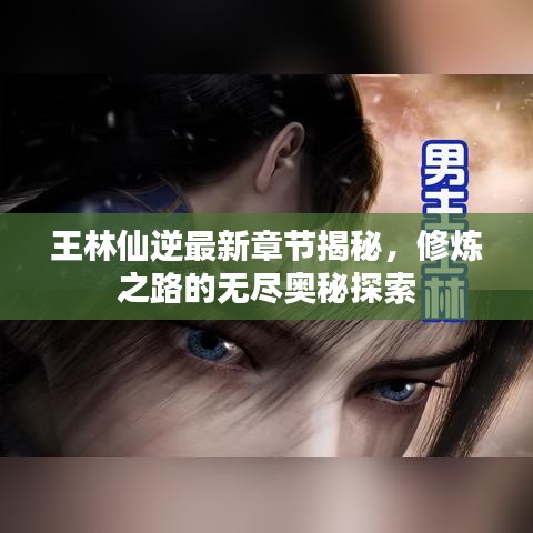 王林仙逆最新章节揭秘，修炼之路的无尽奥秘探索