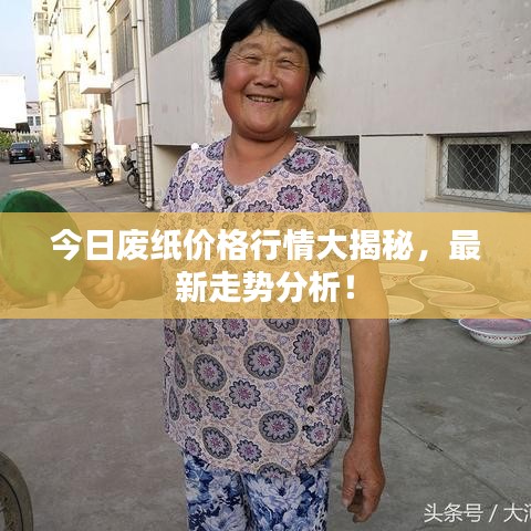 今日废纸价格行情大揭秘，最新走势分析！
