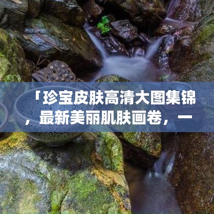 「珍宝皮肤高清大图集锦，最新美丽肌肤画卷，一次尽收眼底」