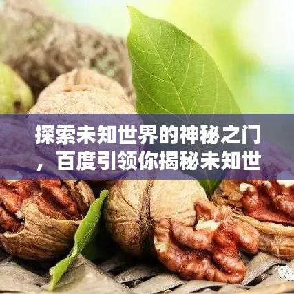 探索未知世界的神秘之门，百度引领你揭秘未知世界！