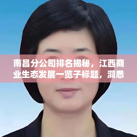 南昌分公司排名揭秘，江西商业生态发展一览子标题，洞悉江西商业发展脉络