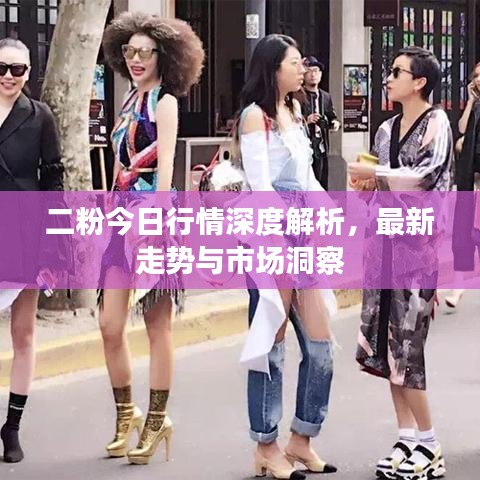 二粉今日行情深度解析，最新走势与市场洞察