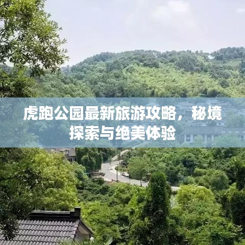 虎跑公园最新旅游攻略，秘境探索与绝美体验
