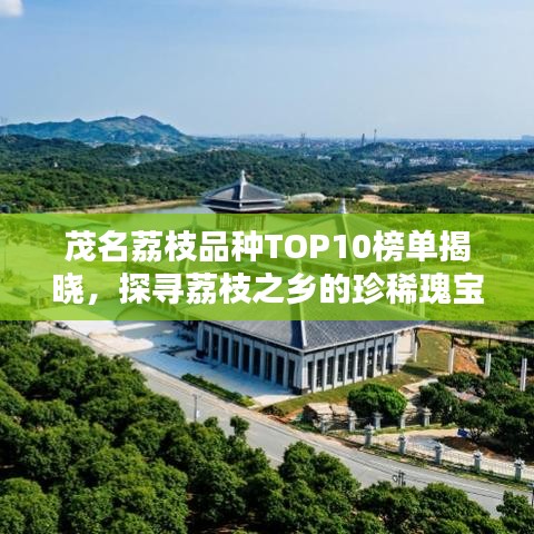 茂名荔枝品种TOP10榜单揭晓，探寻荔枝之乡的珍稀瑰宝