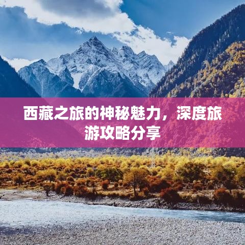 西藏之旅的神秘魅力，深度旅游攻略分享