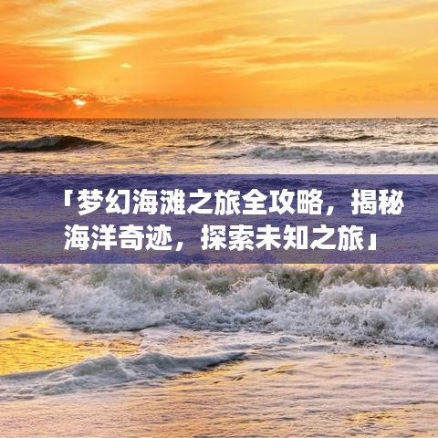 「梦幻海滩之旅全攻略，揭秘海洋奇迹，探索未知之旅」