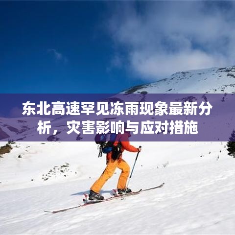 东北高速罕见冻雨现象最新分析，灾害影响与应对措施