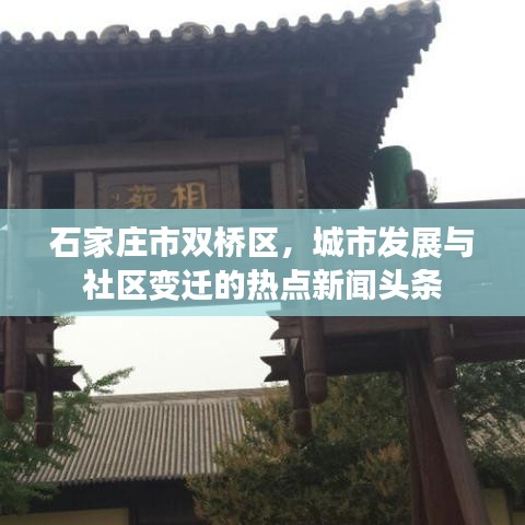 石家庄市双桥区，城市发展与社区变迁的热点新闻头条