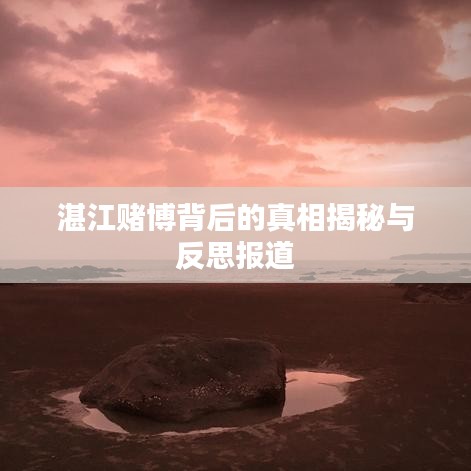 湛江赌博背后的真相揭秘与反思报道
