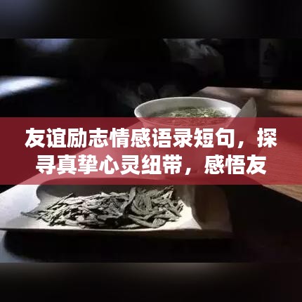 友谊励志情感语录短句，探寻真挚心灵纽带，感悟友情的力量