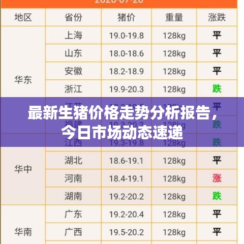 最新生猪价格走势分析报告，今日市场动态速递