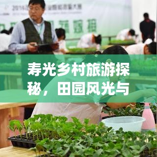 寿光乡村旅游探秘，田园风光与文化韵味之旅