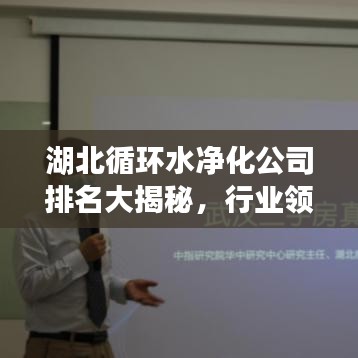 湖北循环水净化公司排名大揭秘，行业领军者一览无余！